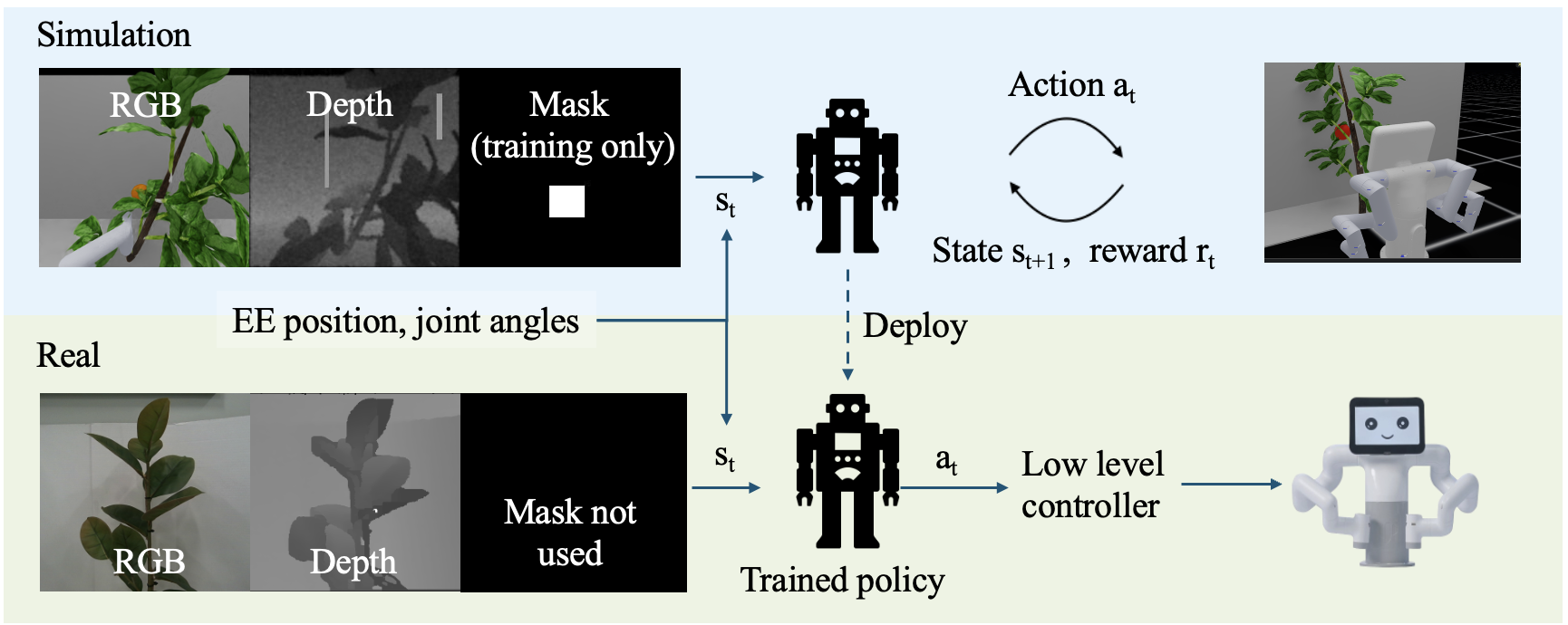 Framework overview: in simulation the agent receives RGB, depth and a training-only fruit mask; in the real world the trained policy receives RGB and depth and sends actions to a low-level controller