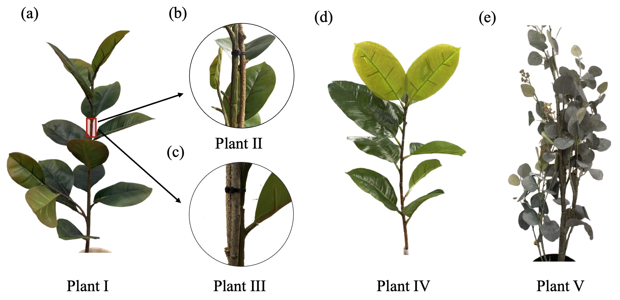 The five artificial plants used in real-world experiments, including reinforced variants and a dense bushy plant